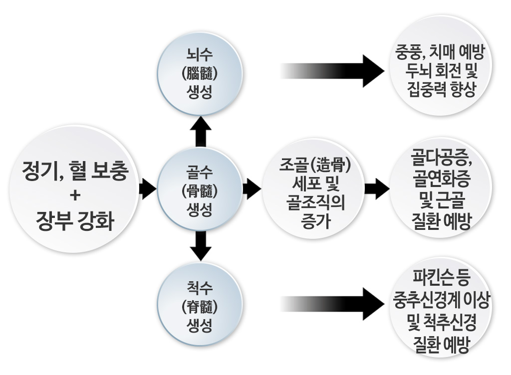 한국한의원, 한국한의원 골다공증 클리닉, 골다공증 치료의 핵심